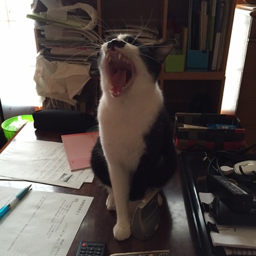 朧　「お兄ちゃんの勉強の見張り番☆終了♪疲れたよ～！」