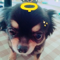 おでん