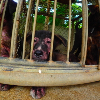 一刻も早く病院へ　