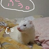 春笑