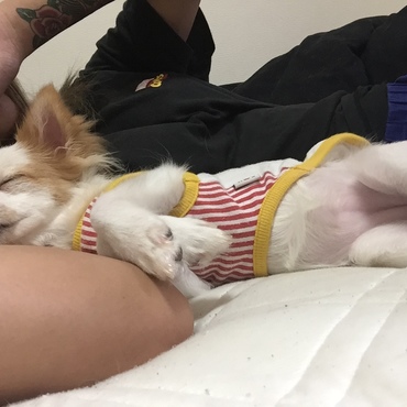 腕枕だいすき