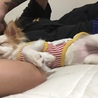 腕枕だいすき