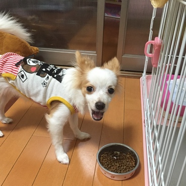 もぐもぐ