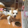 もぐもぐ