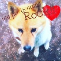 ロック