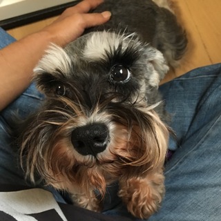 ビビリだけど人が大好きな女の子♪