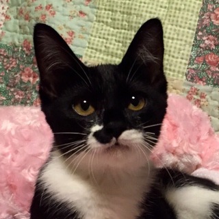 ♪　のりまきちゃん　♪　4ヶ月の女の子