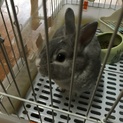 一度応募を締め切らせて頂きます。