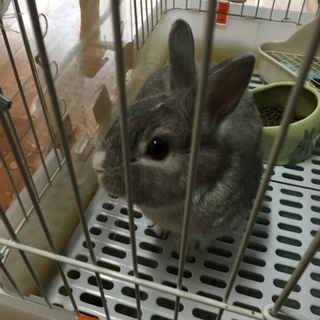 一度応募を締め切らせて頂きます。