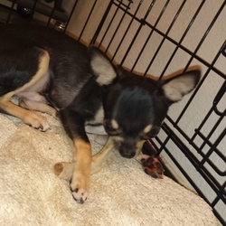 もう戻れないっ！！