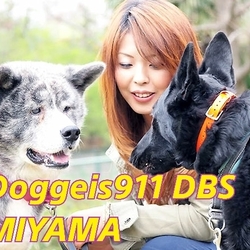 Doggies911 DBS MIYAMAセミナーin栃木 サムネイル2