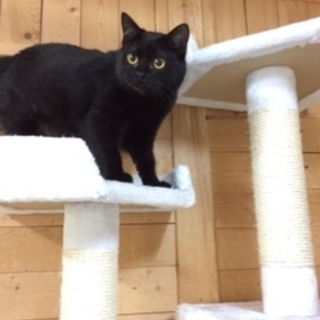 とっても照れ屋さんな女の子