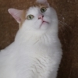 ちょっと食いしん坊な男の子