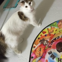 ウィンリー