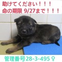 家族が出来ました！