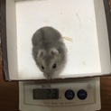 ☆ありがとうございました(*^_^*)☆