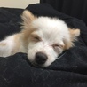 おやすみ