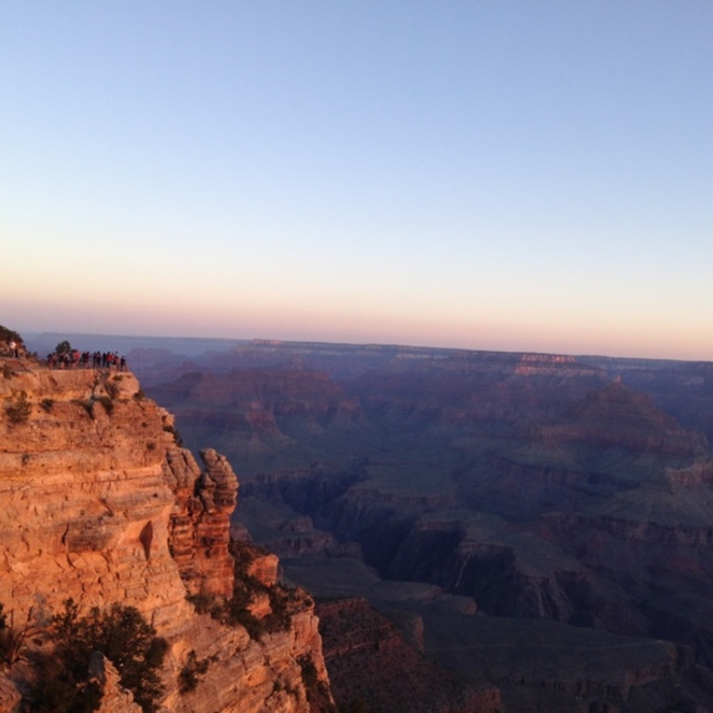 ピナコのカバー写真