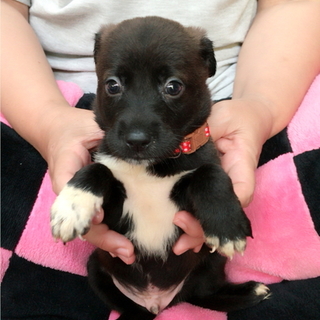 キュートな顔の赤ちゃん