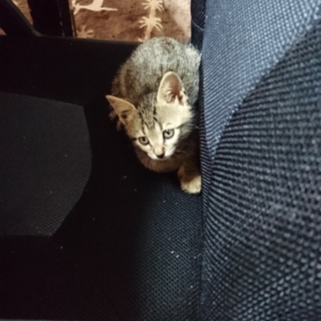 manatsuyoのカバー写真