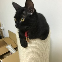 あなご
