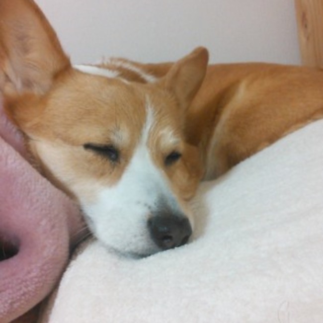 りょうちん☆のカバー写真