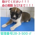家族ができました！
