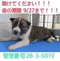 家族ができました！