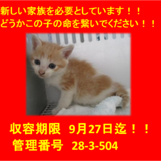 9/24　無事にお迎えいただきました(^^♪