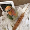 こっち向いて〜