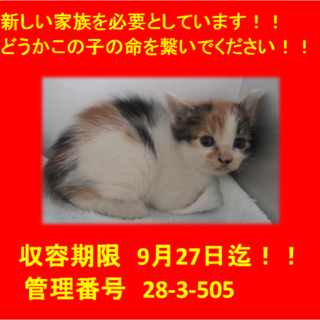 9/24　無事にお迎えいただきました(^^♪