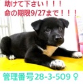 家族ができました！