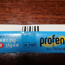 「瓜実条虫（うりざねじょうちゅう）に感染していた。」サムネイル3