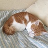 コテツです！5ヶ月です！