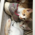 愛してくれる方探してます！！
