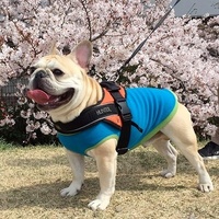 寅次郎
