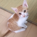 とても美人さんです。