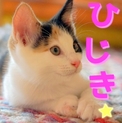 ゴロゴロ甘え好き「ひじき」