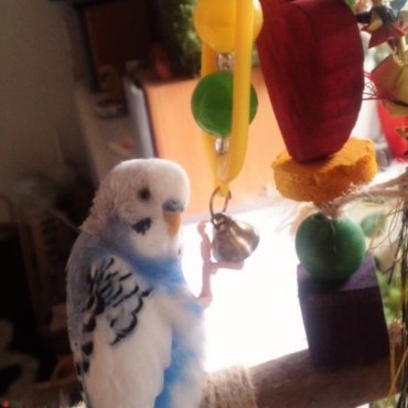 足、使えるの☆器用でしょ♪