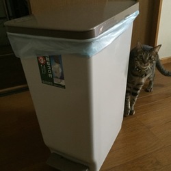 誤食きんぐ対策