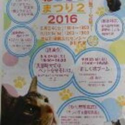 ねこさとまつり２　２０１６　～正しい猫ブームとは？～