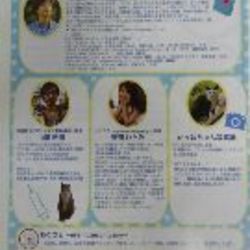 ねこさとまつり２　２０１６　～正しい猫ブームとは？～ サムネイル2