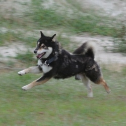 9月15日のラキ君