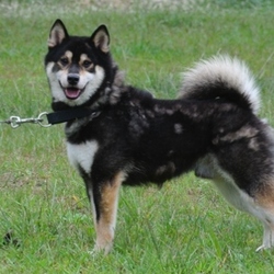 「9月15日のラキ君」サムネイル2