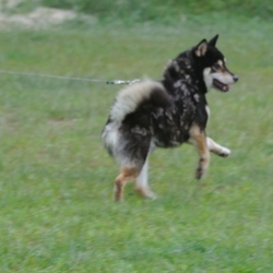 「9月15日のラキ君」サムネイル3