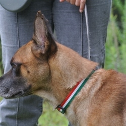 9月17日のラン君