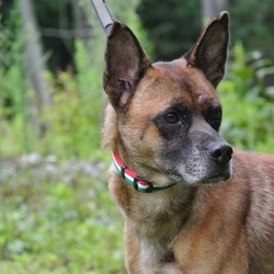 「9月17日のラン君」サムネイル2