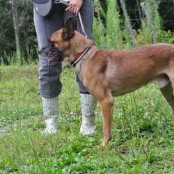 「9月17日のラン君」サムネイル3