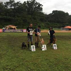 「博士優勝！」サムネイル2