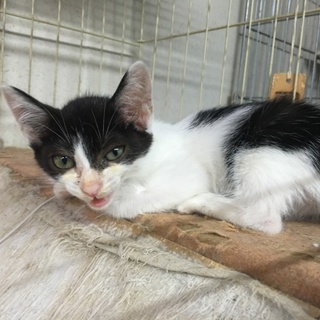 抱っこが大好きな男の子